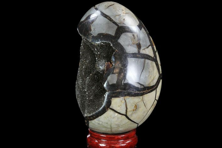 Septarian Dragon Egg Geode - Black Crystals #89581